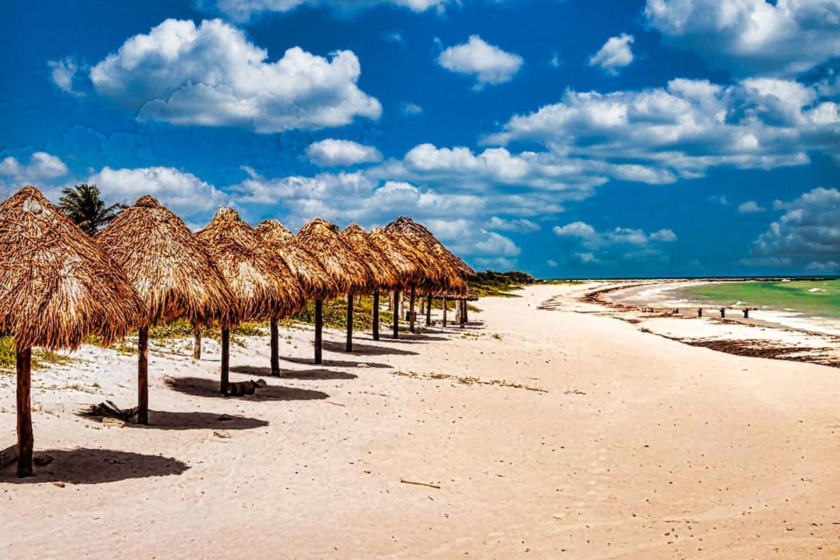 Beachfront Apartment Hacienda Del Cuyo Eksteriør bilde